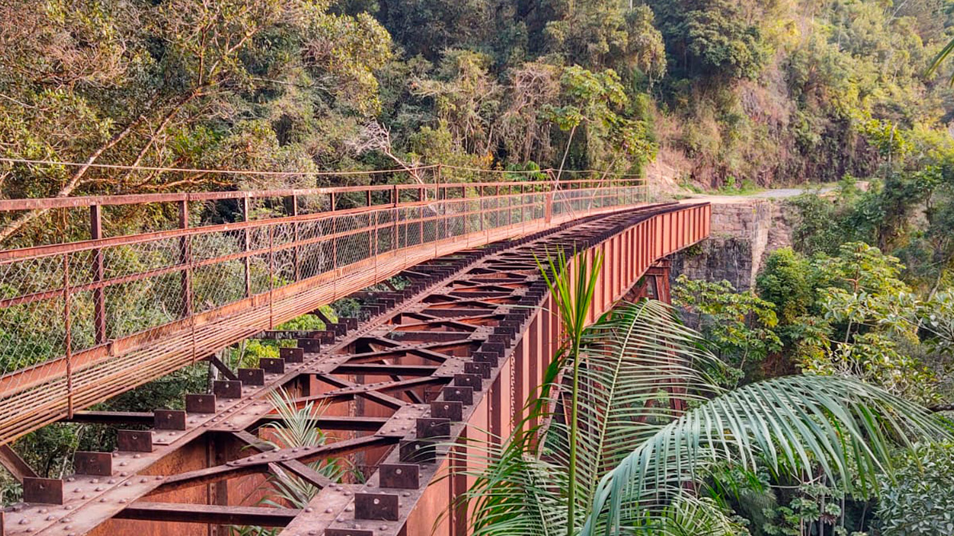 Ponte XVI